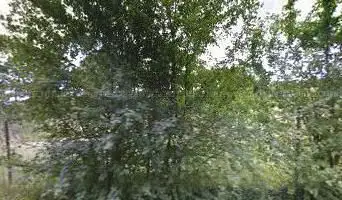 L'allée des vignes