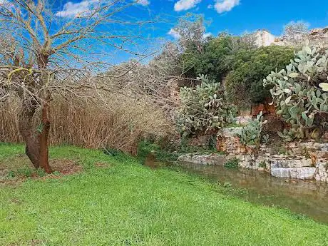 Photo de Oasi Mirko Variato