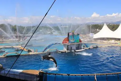 Marineland