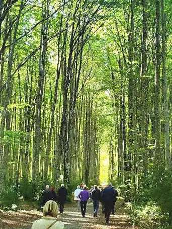 Photo de Sendero Dronda - Mata de Haya