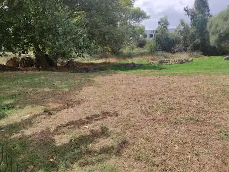 Resti dell'acquedotto romano di Olbia