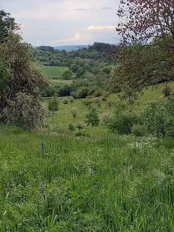 Photo de Wessington Wood and Pasture Nature Reserve