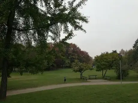 Parco delle Betulle