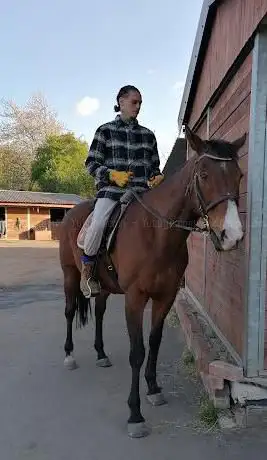 Photo de Moseley Farm Stud & Livery Yard