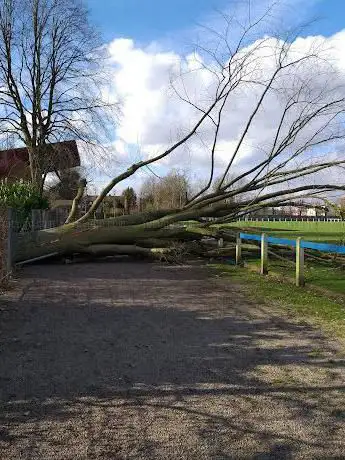 Photo de Stade Ketels