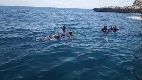 Photo de Celacanto Escuela De Buceo en Altea