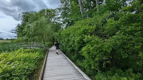 Doyle Conservation Area