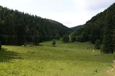Pré aux Auges