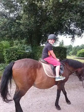 Adsborough House Stables
