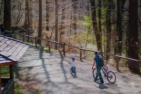 Photo de Bike Trail