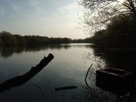 Photo de Dragonfly Pool