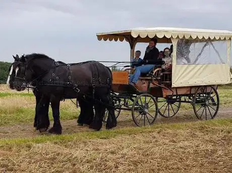 Les Calèches de l'Artois