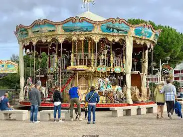 Photo de Carrousel 1880