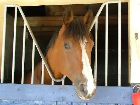 Photo de Haras Du Soleil
