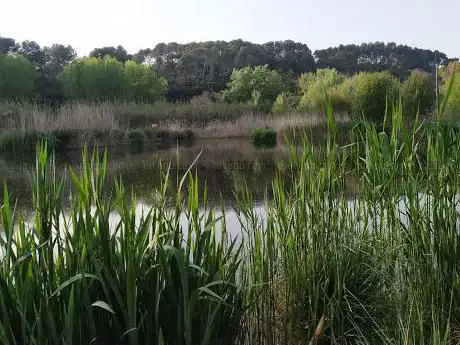 Photo de MolÃ­ Vermell