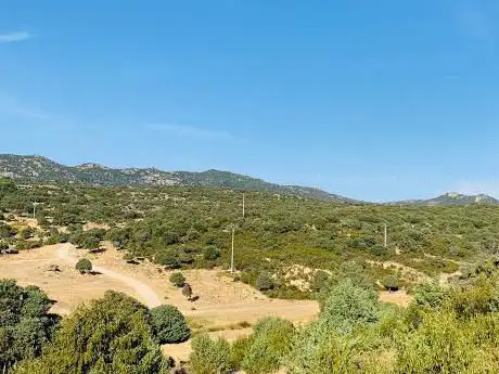 Photo de La Solana