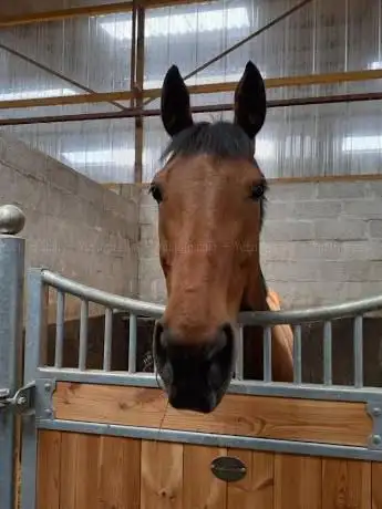 Le Haras du Prélude