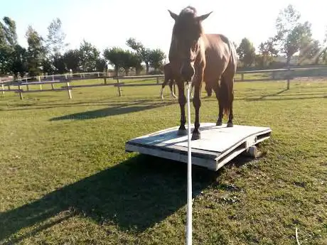 Photo de Crimaro Ranch