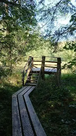 Photo de Swamp Trail