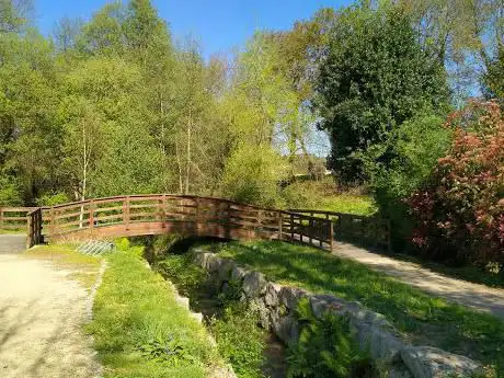 Regato da Venda