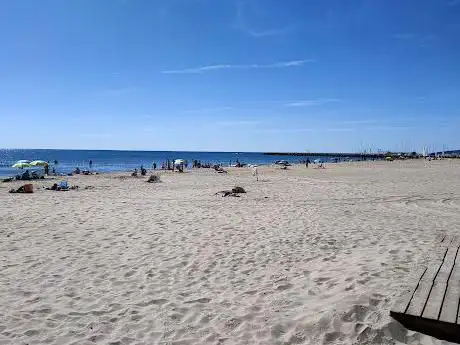 Photo de Plage d'honneur