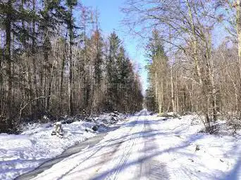 Gottswald