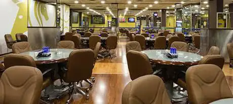 Bingo Vip