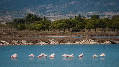 Roberta Carboni | Guida turistica a Cagliari