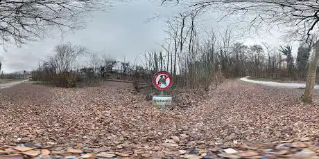 Finnenbahn Au