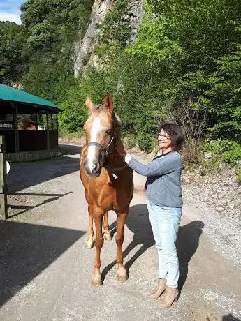 Photo de Haras S.Roch