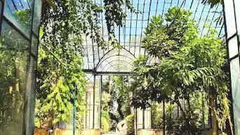 Photo de Orto Botanico dell'Università degli Studi di Palermo