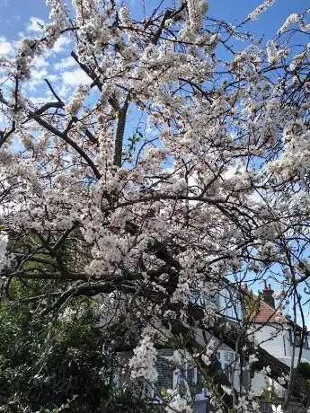 Photo de Seymour park