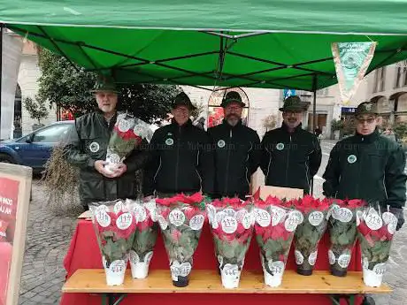 Photo de Gruppo Alpini Gallarate