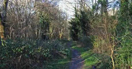 Photo de Dollypers Hill Nature Reserve