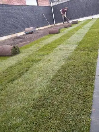 Graszoden Lavrijsen