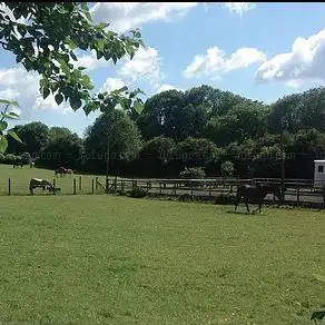 Bridleway Riding School