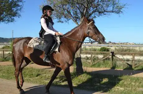 Maneggio Caddhos