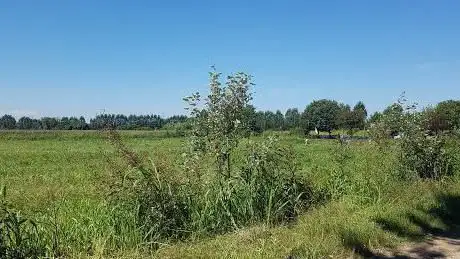 Photo de Cascina Favorita
