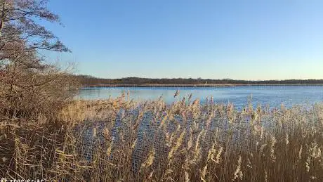Photo de Vogeluitkijkpunt Naardermeer