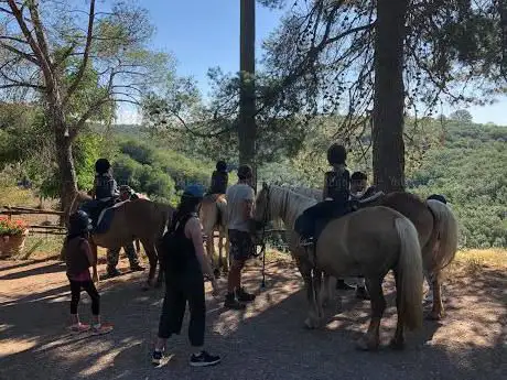 Photo de Horse riding school and breeder