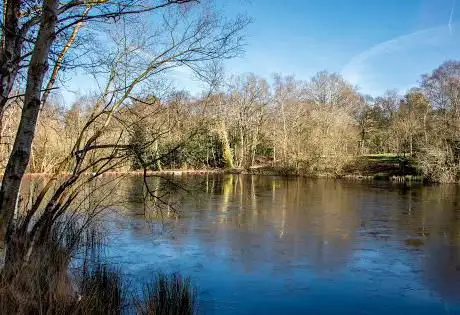 Photo de Wyndham's Pool
