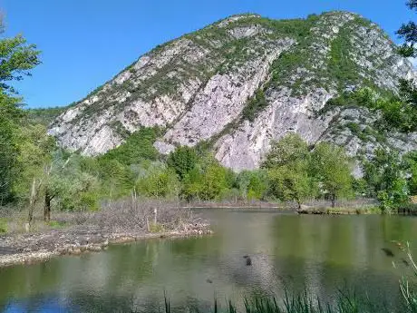 Photo de Le Jardin sauvage de la Roselière du Muscardin