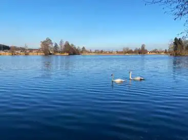 Lac d'Inkwil
