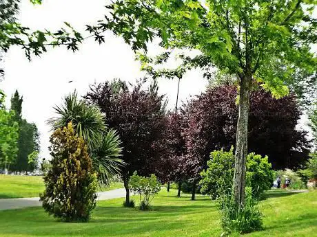 Photo de JardÃn Botánico Park