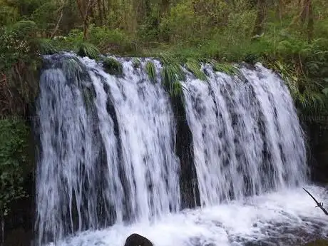 Photo de Fervenza das Quintas