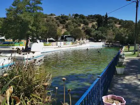 Photo de Praia fluvial Jardim das Termas de Sulfúrea