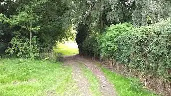 Photo de Wachtspaarbekken Bettelhovebeek
