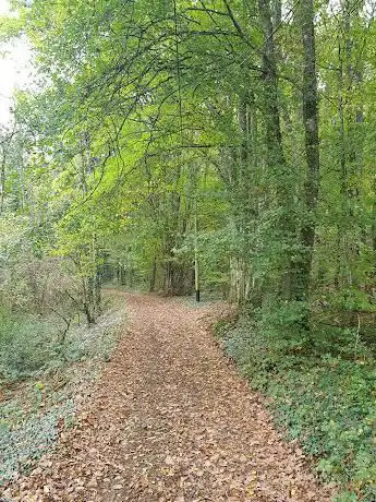 Photo de Plateau de Sennecé