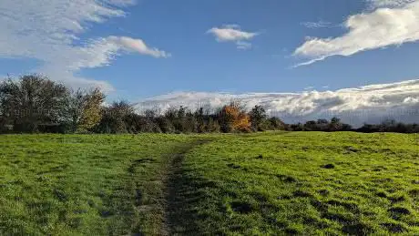 Photo de Crow Fields Common