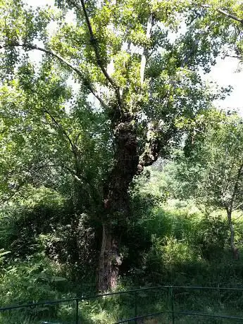 Photo de Casal De Horta
